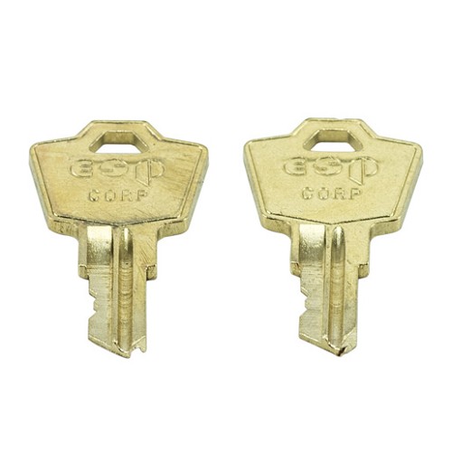Liftmaster 02-406-3 Key Set (2) Commercial Door Gate Operators 